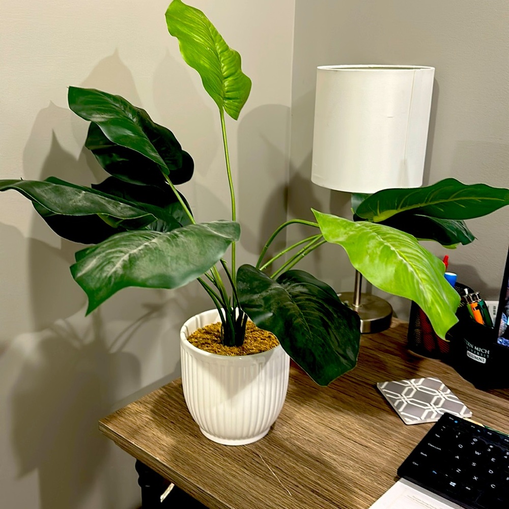 Fake Plant